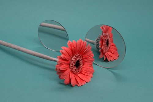 EP 2. 요즘 애들은 정치에 무관심하다, 도대체 누가 ‘요즘 애들’이지?ㅣ캔라클 유스 인터뷰