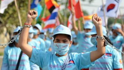 새들도 둥지가 필요하다