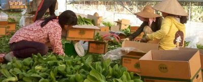 한국: 농축산업 이주노동자 인권유린 끝내야