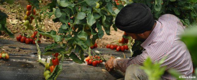 이탈리아: 이주노동자 착취 문제를 생각할 때